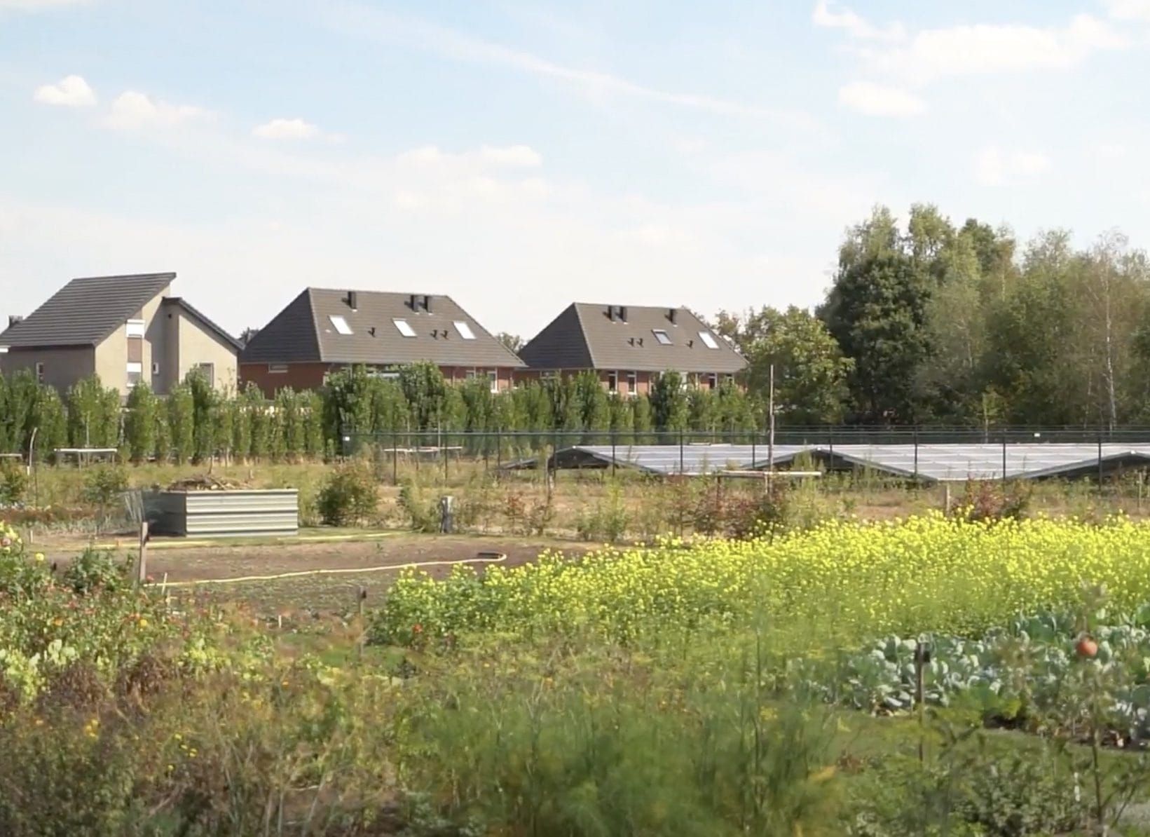 Zonnepark Klimaatpark Kerkendijk met bloemrijke rand en woningen op de achtergrond