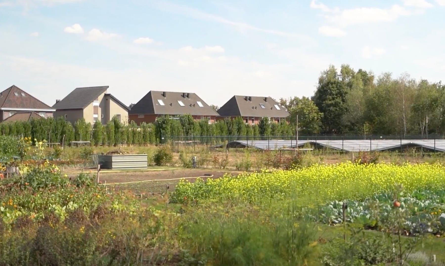 Zicht op zonnepark Kerkendijk met de bebouwing van Someren-Heide erachter
